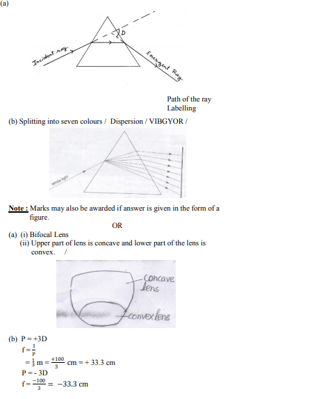 ncert solution 10 science 31-3-1 Q 24